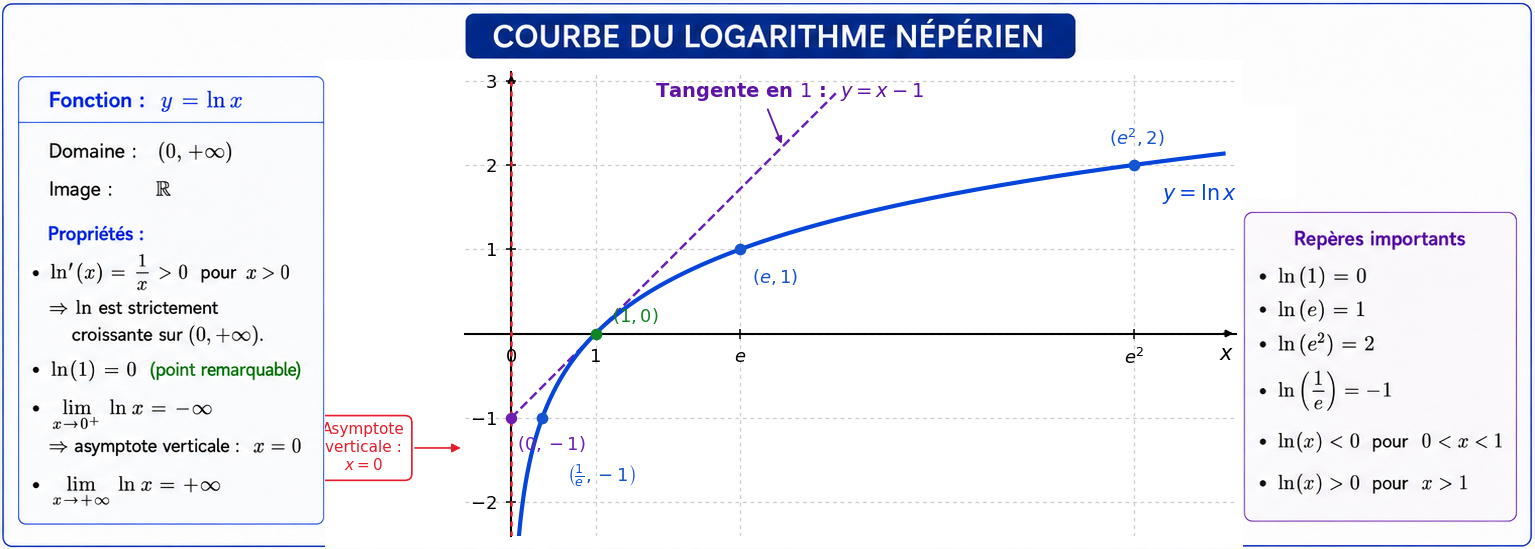 Courbe représentative de la fonction logarithme népérien avec ses limites, son point remarquable et sa tangente en 1